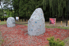 IMG_2861_1024x683