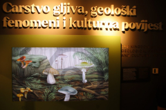 IMG_3056_1024x683
