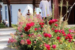 IMG_2436_1024x683