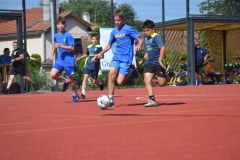 DSC_0100_1024x683_1024x683