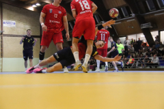 IMG_6216_1024x683
