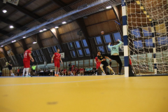 IMG_6266_1024x683