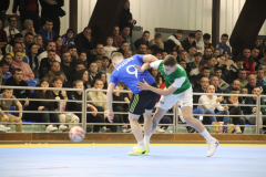 IMG_0887_1024x683