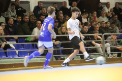 IMG_2481_1024x683