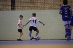 IMG_2487_1024x683
