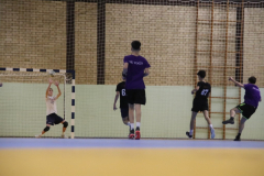IMG_2532_1024x683