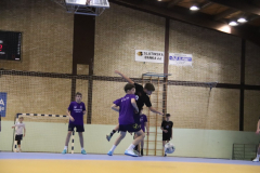 IMG_2546_1024x683