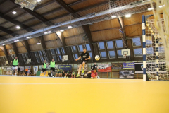 IMG_2687_1024x683