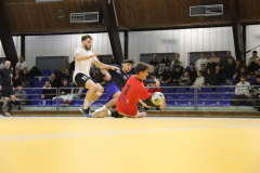 IMG_2882_1024x683