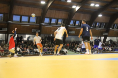IMG_2960_1024x683