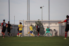 IMG_4059_1024x683