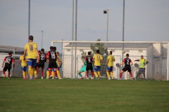 IMG_4086_1024x683