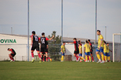 IMG_4088_1024x683