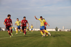 IMG_4113_1024x683