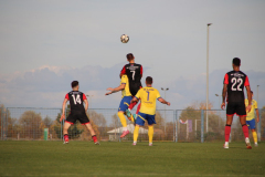 IMG_4136_1024x683