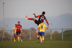IMG_4137_1024x683