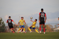 IMG_4141_1024x683