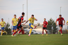 IMG_4210_1024x683