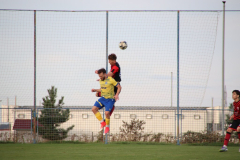 IMG_4211_1024x683
