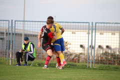 IMG_4228_1024x683