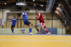 IMG_8510_1024x683