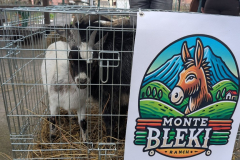 viber_slika_2026-04-02_10-41-17-537_1024x576