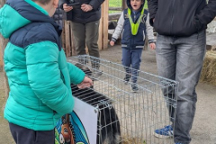 viber_slika_2026-04-02_10-41-18-778_432x768