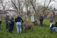 viber_slika_2026-04-02_10-41-19-194_1024x576