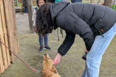 viber_slika_2026-04-02_10-41-22-228_432x768