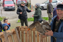 viber_slika_2026-04-02_10-41-22-590_1024x576