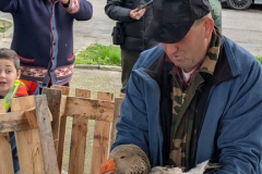 viber_slika_2026-04-02_10-41-22-700_432x768