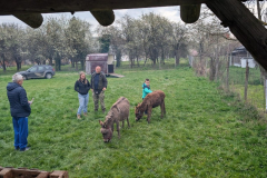 viber_slika_2026-04-02_10-41-37-034_1024x576