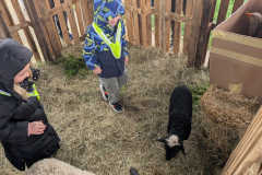 viber_slika_2026-04-02_10-41-37-767_1024x576