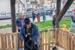 viber_slika_2026-04-02_10-41-37-809_432x768