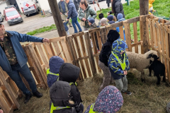 viber_slika_2026-04-02_10-41-40-824_1024x576