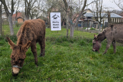 viber_slika_2026-04-02_10-41-40-917_1024x576