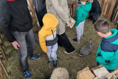 viber_slika_2026-04-02_10-41-40-997_1024x576