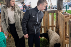 viber_slika_2026-04-02_10-41-55-520_1024x576