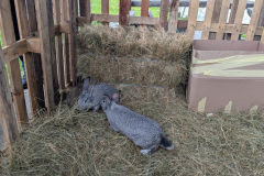 viber_slika_2026-04-02_10-42-08-472_1024x576