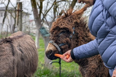 viber_slika_2026-04-02_10-42-09-727_1024x576