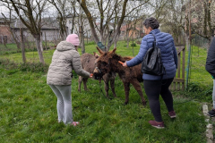 viber_slika_2026-04-02_10-42-09-742_1024x576