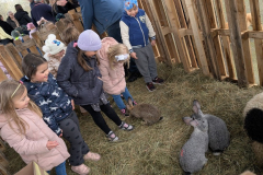 viber_slika_2026-04-02_10-42-11-095_1024x576