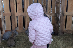 viber_slika_2026-04-02_10-42-12-291_1024x576