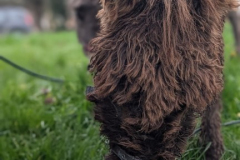 viber_slika_2026-04-02_10-42-39-018_432x768