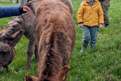 viber_slika_2026-04-02_10-42-39-353_432x768