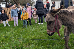 viber_slika_2026-04-02_10-42-42-695_1024x576