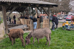 viber_slika_2026-04-02_10-42-42-714_1024x576