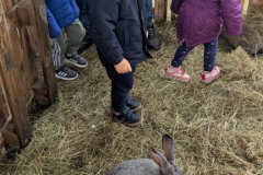 viber_slika_2026-04-02_10-43-03-576_432x768