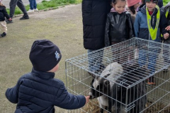 viber_slika_2026-04-02_10-43-04-349_432x768