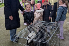 viber_slika_2026-04-02_10-43-06-543_432x768